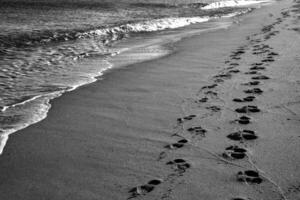 empreintes sur le plage. une empreinte de Humain pieds sur le le sable près le mer. photo