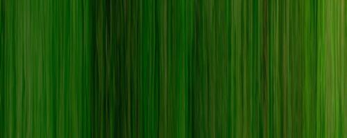 foncé vert rayé bambou texture Contexte photo