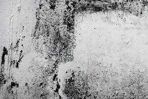 abstrait grunge texture modèle de noir peindre sur blanc mur photo