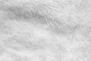 fond de texture de tissu de fourrure blanche photo