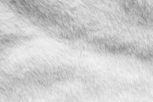 fond de texture de tissu de fourrure blanche photo