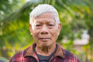 portrait de Sénior homme permanent dans le sien jardin. photo