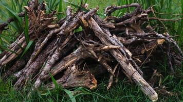 pile de sec bois sur vert herbe Contexte photo