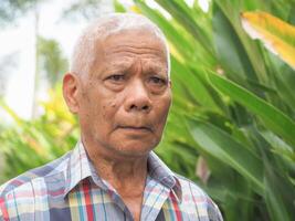 portrait de un personnes âgées asiatique homme à la recherche à caméra tandis que permanent dans une jardin photo