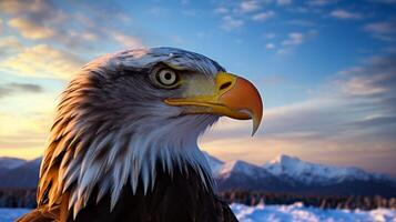 ai généré un Aigle en volant plus de une Montagne intervalle photo