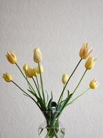 Jaune tulipes dans une verre vase. Contexte pour une carte postale avec Jaune tulipes photo