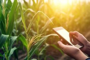 ai généré agriculteur croissance blé atterrir. produire ai photo