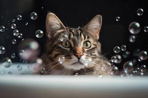 ai généré chat la lessive hygiène avec savon bulles. produire ai photo