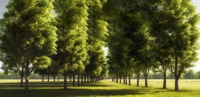 ai généré arbre bosquet sur une ensoleillé journée. une La peinture de une rangée de des arbres dans une champ photo