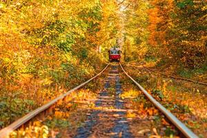 l'automne forêt par lequel un vieux tram monte Ukraine photo