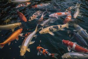 ai généré coloré carpes bassin. produire ai photo