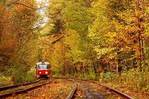 l'automne forêt par lequel un vieux tram monte Ukraine photo