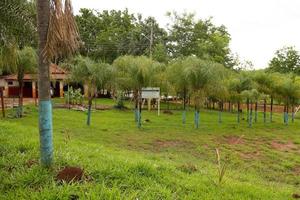 Cassilandia, mato grosso do sul, brésil, 2020 -saut de l'apore de la rivière photo