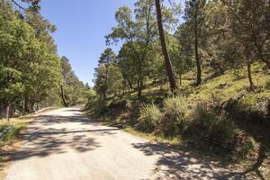 paysages et les sentiers de le magnifique la nature de le sierra de Cazorla, jaen, Espagne. la nature vacances concept. photo