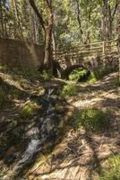 paysages et les sentiers de le magnifique la nature de le sierra de Cazorla, jaen, Espagne. la nature vacances concept. photo