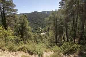 paysages et les sentiers de le magnifique la nature de le sierra de Cazorla, jaen, Espagne. la nature vacances concept. photo