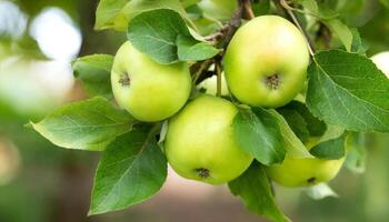 ai généré vert pommes sur une arbre photo