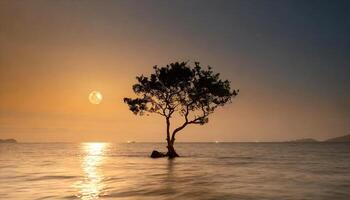 ai généré une seul arbre dans le milieu de le océan à le coucher du soleil photo