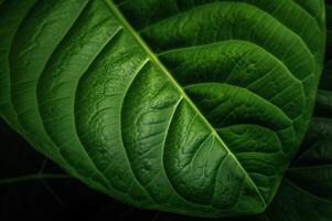 ai généré gros vert feuille. produire ai photo