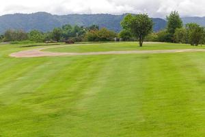 paysage de pelouse verte dans un beau jardin photo