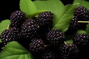 ai généré distinctif Loganberry noir baie. produire ai photo