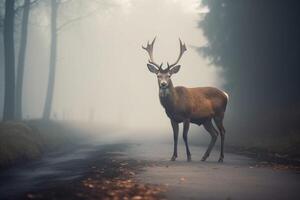 ai généré cerf sur brumeux forêt route. produire ai photo