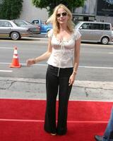 rosanna arquette basse-cour première arclight théâtres los anges, Californie juillet 30, 2006 photo