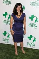 Rosie perez en arrivant à le global vert les États-Unis 6e annuel pré-oscar fête à Avalon dans Hollywood, Californie sur février 19, 2009 photo