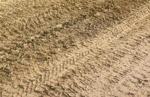 roue Piste sur boue. traces de une tracteur ou lourd hors route voiture sur marron boue dans humide Prairie photo