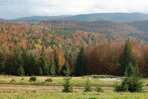 campagne dans montagnes à lever du soleil. herbeux rural pistes avec des champs et des arbres dans tomber feuillage dans l'automne photo