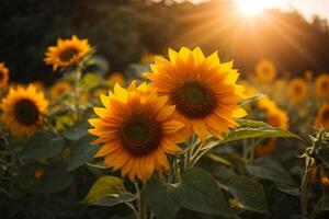 ai généré ferme fleur fond d'écran abstrait photo