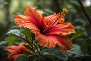 ai généré hibiscus forêt fond d'écran photo