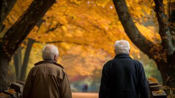 ai généré deux personnes âgées Hommes en marchant vers le bas bordé d'arbres chemin photo