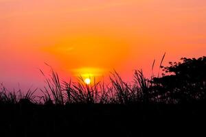 silhouette de champ herbe sur magnifique le coucher du soleil avec coloré de ciel et le Soleil Contexte photo