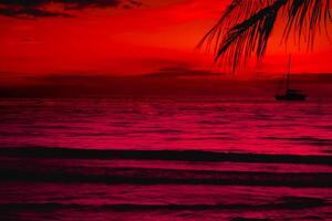 le coucher du soleil de magnifique une tropical plage sur rose ciel Contexte photo