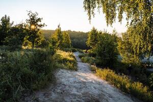 forêt chemin allumé par le Matin Soleil à aube, chaud été jour, Soleil éblouissement, paysage photo