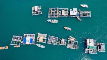 aérien l'aquaculture, flottant poisson des cages paysage marin photo