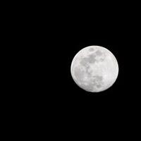 pleine lune dans le ciel sombre pendant la nuit, grande super lune dans le ciel photo