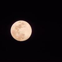 pleine lune dans le ciel sombre pendant la nuit, grande super lune dans le ciel photo