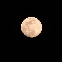 pleine lune dans le ciel sombre pendant la nuit, grande super lune dans le ciel photo