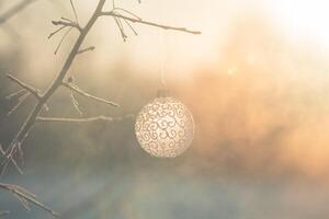 Noël Balle sur arbre en plein air, Créatif photo, Nouveau année, Noël photo