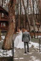 le jeune marié vient en haut derrière le la mariée et embrasse son. sincère émotions. une marcher dans le forêt. hiver mariage photo