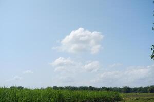 des nuages dans le bleu ciel plus de une vert Prairie dans le campagne photo