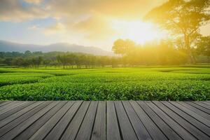 ai généré bois sol sur vert thé feuille plantation dans matin, flou Contexte. Frais vert thé feuilles. vert thé plantations lever du soleil. fraîcheur biologique thé jardin Contexte. photo