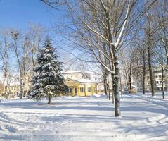 paysage coup de le hiver village. saison photo