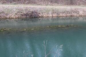 paysage le long de le co canal dans williamsport Maryland. photo