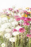 printemps floral esthétique. Naturel coloré fleurs Contexte. photo