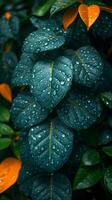 ai généré vert feuilles avec l'eau gouttes photo