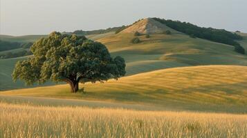 ai généré serein paysage avec seul arbre et roulant collines à le coucher du soleil photo