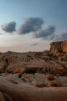 parc national de joshua tree photo